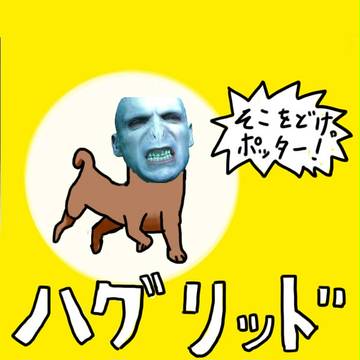 ヴォルデモート