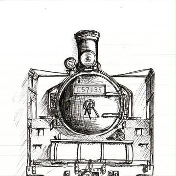 C57135