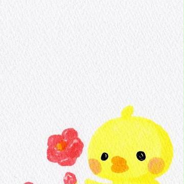 ひよこ　