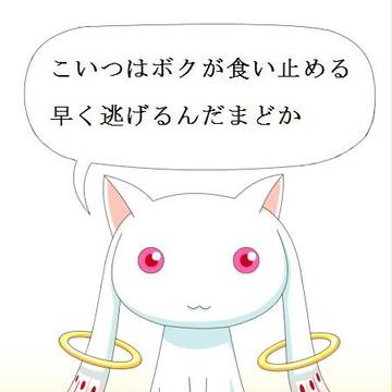 IQB