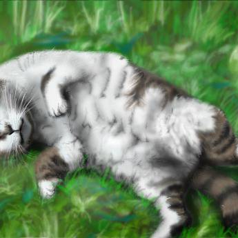 草むらの猫