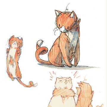 catnada