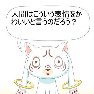 確かQBってこんな奴だったよね？