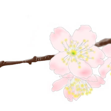 練習一