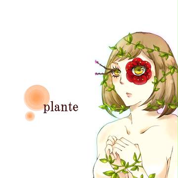 Plante