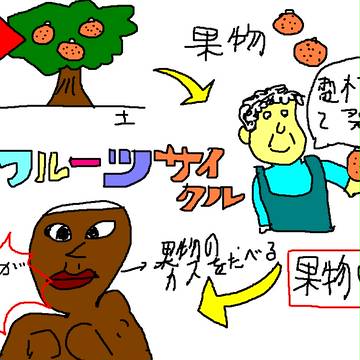フルーツサイクル