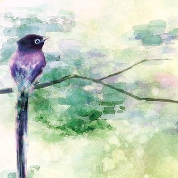 ポストカード（いつかみた夢のはなし／ピース）