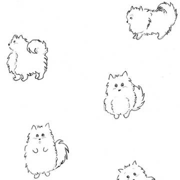 ポメラニアン落書き