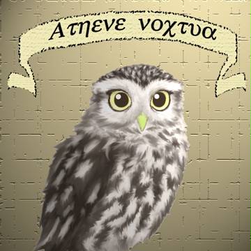 Athene noctua