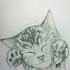 子猫