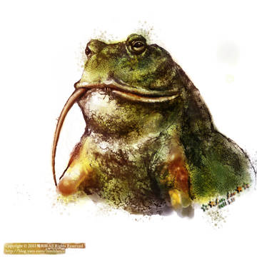 トノサマガエル