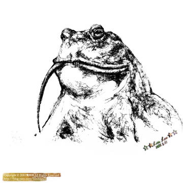 トノサマガエル