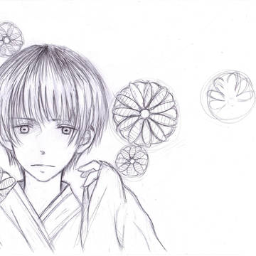 菊