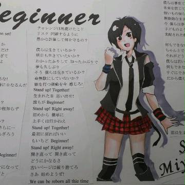 Beginner