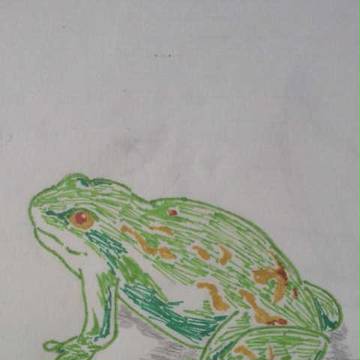 カエル
