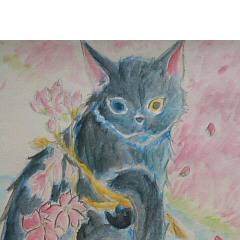 桜猫
