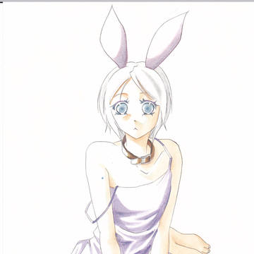 うさ耳