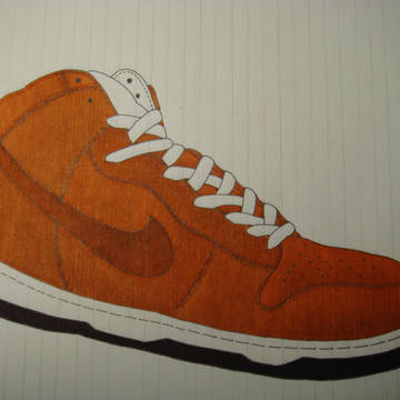 nike dunk hi