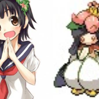 初春と色変えドレディア 比較