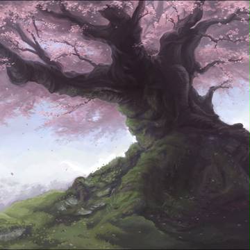 Cherry tree