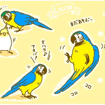 リトルちゃん