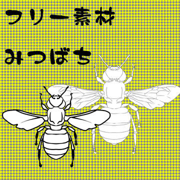 【フリー素材】みつばち