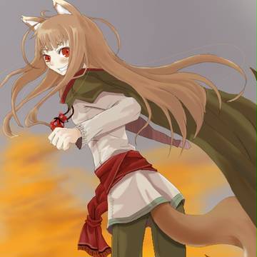 ホロ