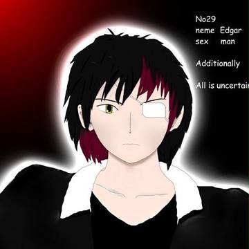 二次創作小説主人公