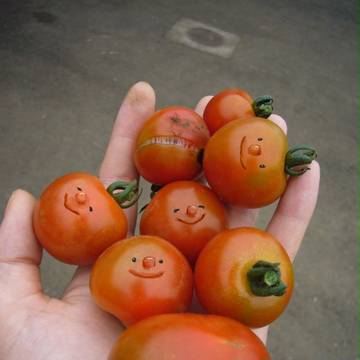 トマト