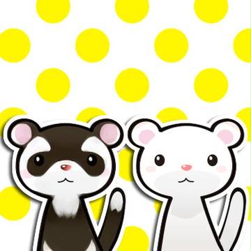 うちの愛フェレ