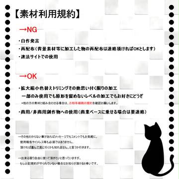 【アンケート有】素材利用規約