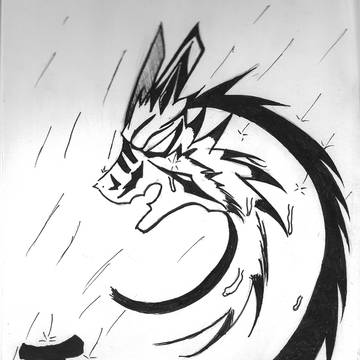 雨