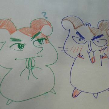 ハムカイジ