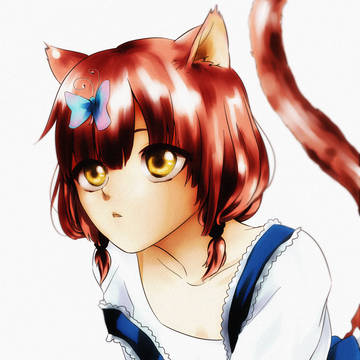 猫と蝶々