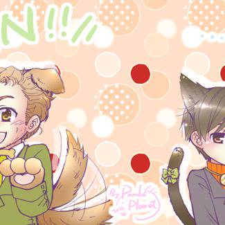 犬とネコ