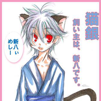 猫銀さん