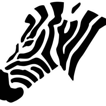 zebra