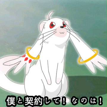 僕と契約して！！高町なのは！