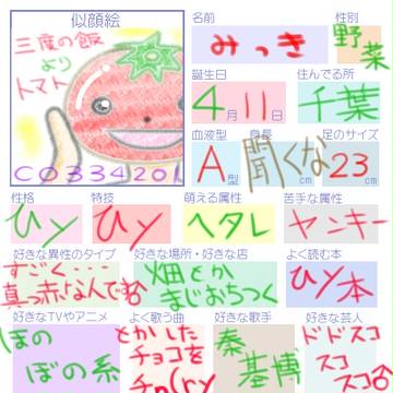 参考程度に