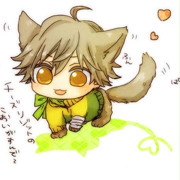 聖書猫の白石くん