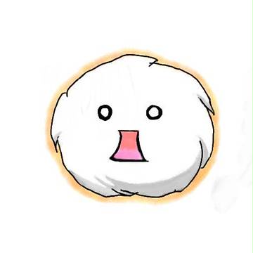 毛玉