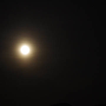 曇月