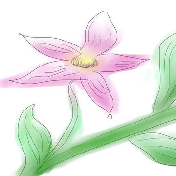 てっせんか