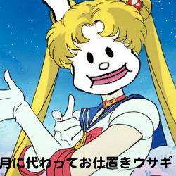 月に代わってお仕置きウサギ