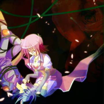 黒薔薇様