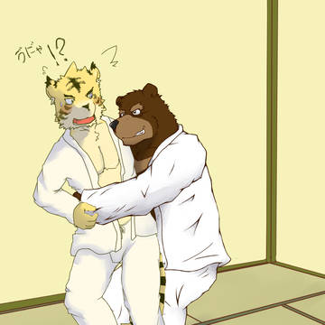 じゅーどー