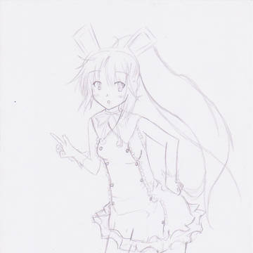 パンヤエリカ模写