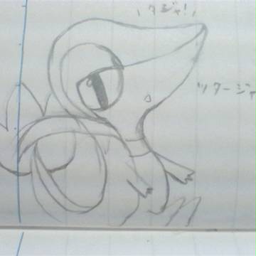 ﾂﾀｰｼﾞｬさん
