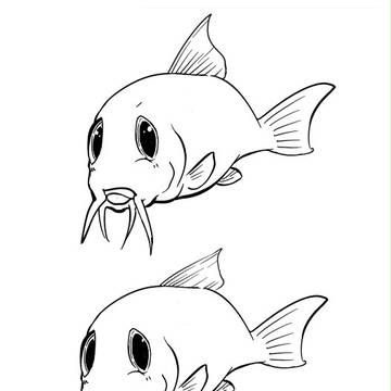 コリドラス