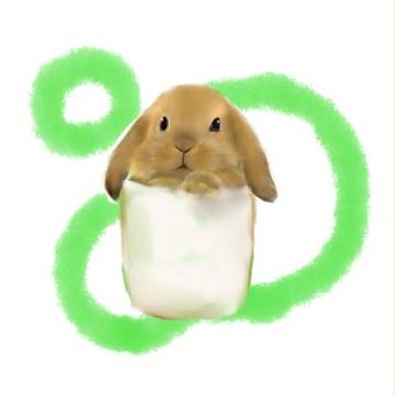 うさぎ